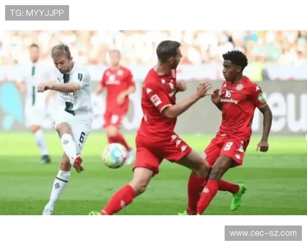 美因茨05俱乐部百年传承与德甲赛场崛起之路探析发展战略与球迷文化研究