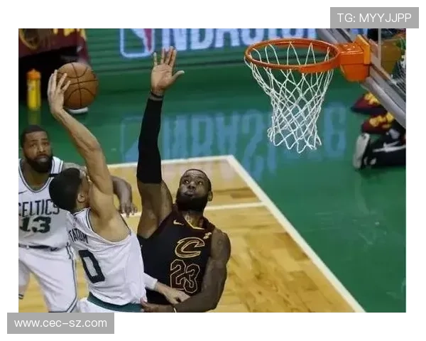 重建中的希望之翼深入解析nba黄蜂队年轻核心的成长与未来蓝图